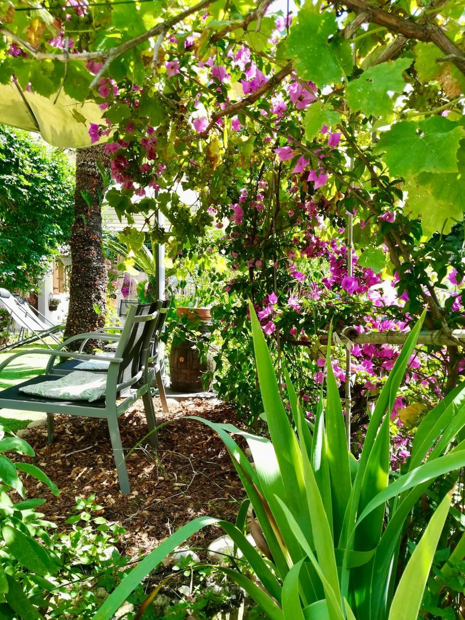 Villa Bellabe Νίκαια Εξωτερικό φωτογραφία