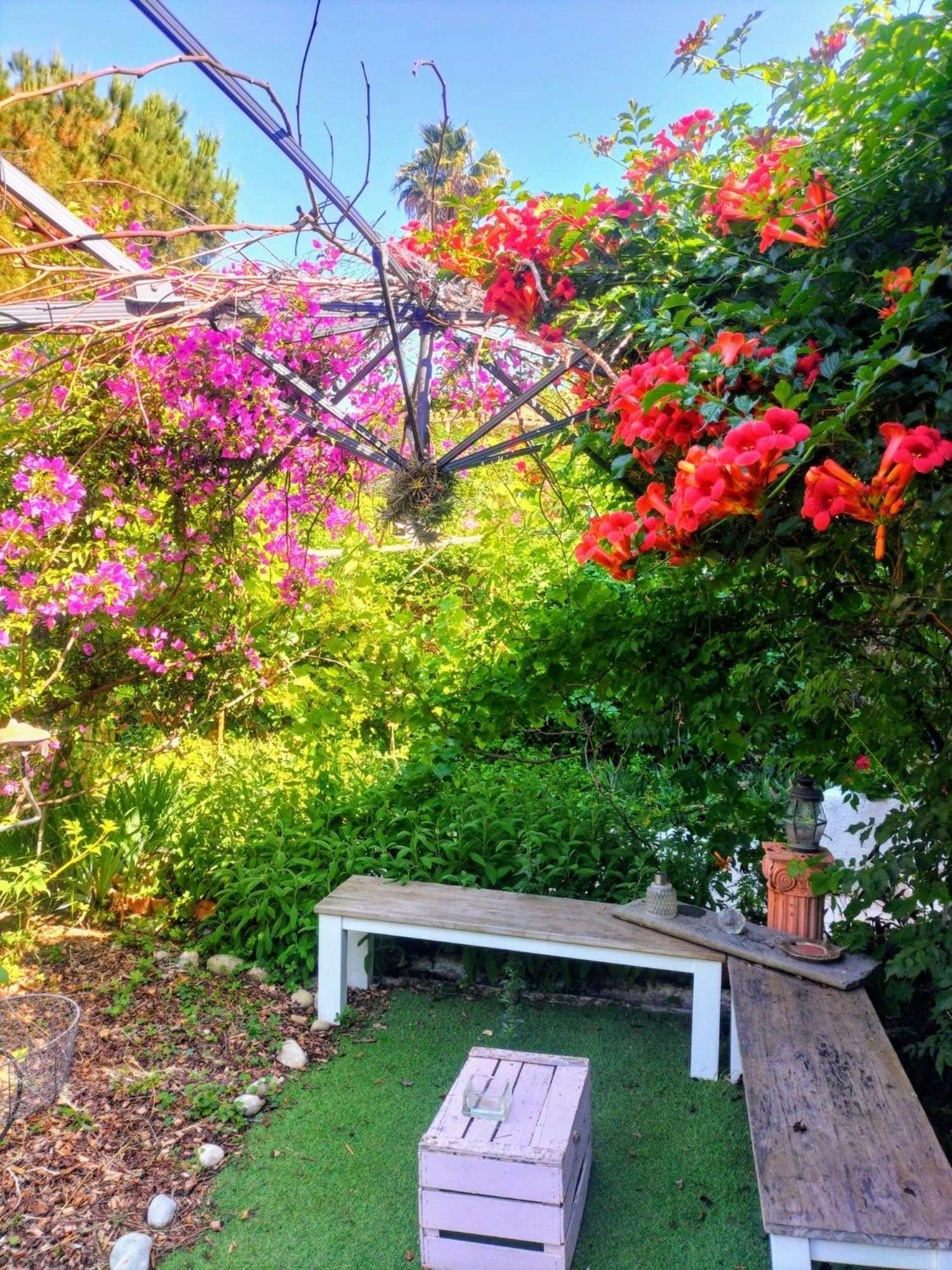Villa Bellabe Νίκαια Εξωτερικό φωτογραφία