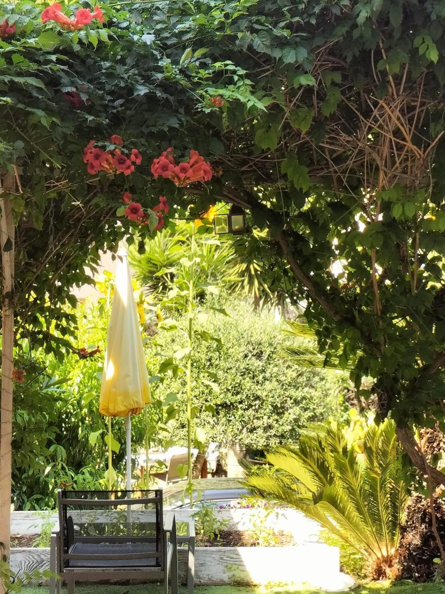 Villa Bellabe Νίκαια Εξωτερικό φωτογραφία